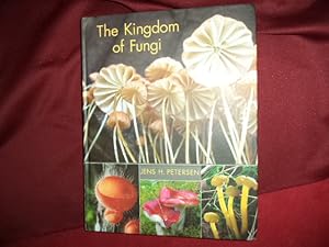 Bild des Verkufers fr The Kingdom of Fungi. zum Verkauf von BookMine