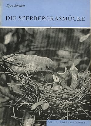 Bild des Verkufers fr Die Sperbergrasmcke. Sylvia nisoria,Die Neue Brehm-Bcherei 542, zum Verkauf von Antiquariat Kastanienhof