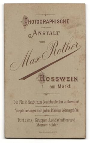Fotografie Max Rother, Rosswein i. S., charmant blickendes Frulein mit Buch und Kette im ...