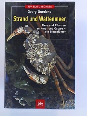 Bild des Verkufers fr BLV Taschenbcher, Strand und Wattenmeer zum Verkauf von Leserstrahl  (Preise inkl. MwSt.)