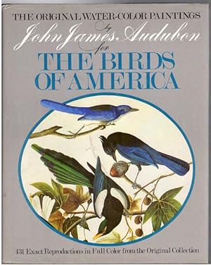 Seller image for The Original Water-Color Paintings by John James Audubon for The Birds of America. Reproduced in color from the collection at The New-York Historical Society. Introduction by Marshall B. Davidson. for sale by Time Booksellers