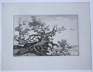 [Antique print, etching] Landscape with trees (Landschap met bomen), published ca. 1660.