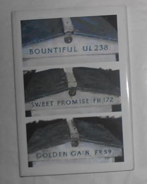 Seller image for Bountiful Ul 238, Sweet Promise Fh 172, Golden Gain Fr59 - Paintings and Drawings by Eileen Hogan for sale by David Bunnett Books