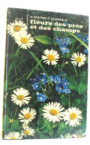 Fleurs des prés et des champs