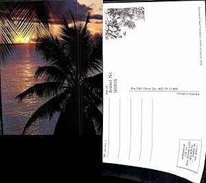 569816,Sunrise at Cape Tribulation north of Cairns North Queensland Australien Australia Palme