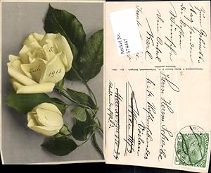 Imagen del vendedor de 574447,Blumen Botanik Rosen pub Martin Rommel & Co. 634 a la venta por Versandhandel Lehenbauer