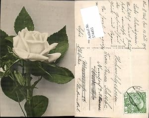Imagen del vendedor de 574455,Blumen Botanik Rose pub Martin Rommel & Co. 610 a la venta por Versandhandel Lehenbauer
