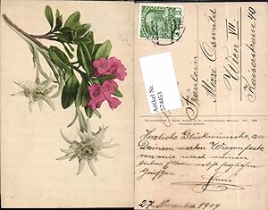 Imagen del vendedor de 574453,Blumen Botanik Edelweiss pub Martin Rommel & Co. 523 a la venta por Versandhandel Lehenbauer