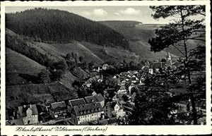 Bild des Verkufers fr Ansichtskarte / Postkarte Wildemann Clausthal Zellerfeld im Oberharz, Ortsansicht zum Verkauf von akpool GmbH