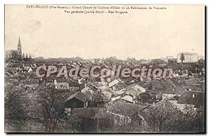 Image du vendeur pour Carte Postale Ancienne Fayl Billot Grand Centre De Culture d'osier vannerie mis en vente par CPAPHIL