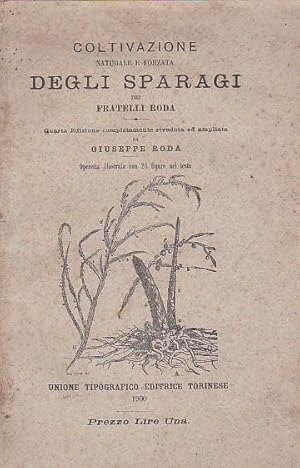 Bild des Verkufers fr Coltivazione naturale e forzata degli sparagi. Quarta edizione completamente riveduta ed ampliata di Giuseppe Roda zum Verkauf von Gilibert Libreria Antiquaria (ILAB)