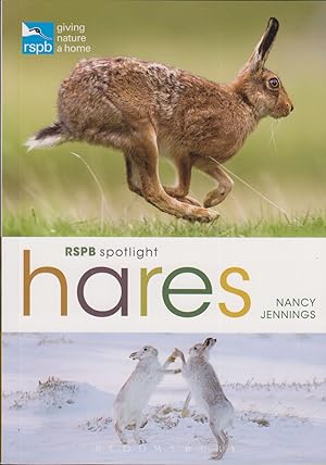 Seller image for HARES. By Nancy Jennings. RSPB Spotlight series. for sale by Coch-y-Bonddu Books Ltd