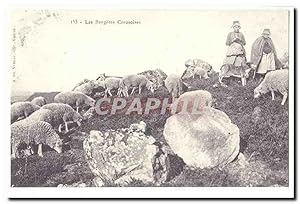 Reproduction Carte Postale Ancienne LEs bergeres creusoises (Creuse)