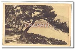 Imagen del vendedor de Menton Carte Postale Ancienne Sentier dans la Pinede a la venta por CPAPHIL