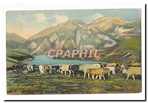 Pyrenees Carte Postale Ancienne Troupeau descendant (vaches)