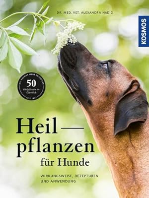 Seller image for Heilpflanzen fr Hunde : Wirkungsweise, Rezepturen und Anwendung for sale by AHA-BUCH GmbH