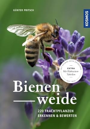 Seller image for Bienenweide : 220 Trachtpflanzen erkennen und bewerten for sale by AHA-BUCH GmbH