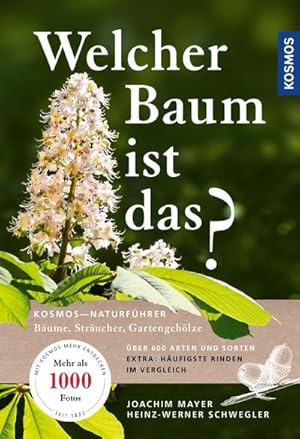 Seller image for Welcher Baum ist das? for sale by BuchWeltWeit Ludwig Meier e.K.