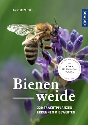 Seller image for Bienenweide for sale by Rheinberg-Buch Andreas Meier eK