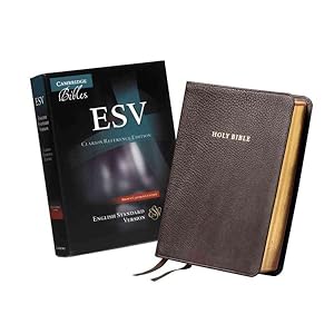 Seller image for Holy Bible : English Standard Version, Brown, Calfskin, Clarion Reference Edition for sale by GreatBookPrices
