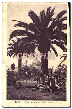 Image du vendeur pour Carte Postale Ancienne Nice Flore exotique du Jardin Albert mis en vente par CPAPHIL