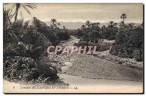 Carte Postale Ancienne L'Oued el Kantara et L'Oassis