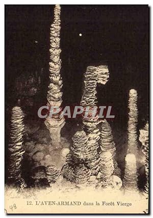 Seller image for Carte Postale Ancienne L'Aven Armand dans la for�t Vierge for sale by Cpaphil.com