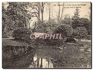 Image du vendeur pour Carte Postale Ancienne Rennes La Thabor Jardin des Plantes Paysage pres la Cascade mis en vente par CPAPHIL