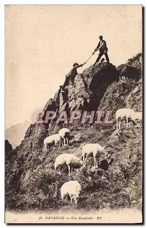 Bild des Verkufers fr Carte Postale Ancienne Gavarnie Une Escalade Moutons zum Verkauf von CPAPHIL