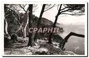Imagen del vendedor de Carte Postale Ancienne La Cote d'Azur Porquerolles Les pins d'Alep a la venta por CPAPHIL