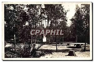 Image du vendeur pour Carte Postale Ancienne Beauvallon Le Square des Eucalyptus mis en vente par CPAPHIL