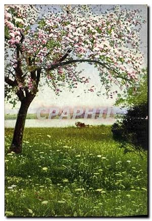 Bild des Verkufers fr Carte Postale Ancienne Arbre zum Verkauf von CPAPHIL