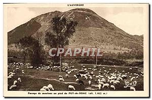 Seller image for Carte Postale Ancienne L'Auvergne Pacage de Moutons au pied du Puy de Dome for sale by CPAPHIL