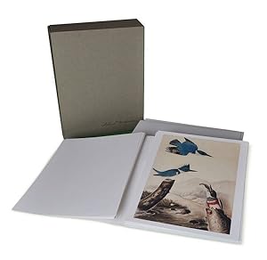 Immagine del venditore per The John James Audubon Portfolio a Selection of the Original Drawings and Watercolors used in the making of Birds of America, accompanied by a choice of Audubon's writings venduto da primatexxt Buchversand