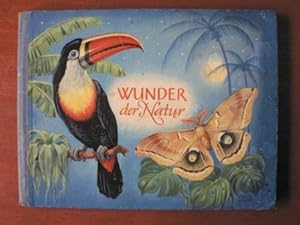 Image du vendeur pour Wunder der Natur. Ein pdagogisches Bildbuch mis en vente par Antiquariat UPP