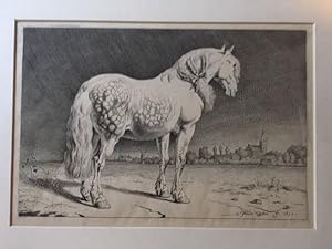 Darstellung eines Pferdes. A horse.