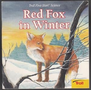 Imagen del vendedor de Red Fox in Winter. a la venta por HORSE BOOKS PLUS LLC