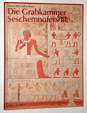 Die Grabkammer Seschemnofers III.