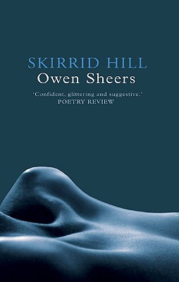 Seller image for Skirrid Hill (Paperback or Softback) for sale by BargainBookStores