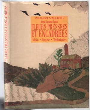 Seller image for Fleurs presses encadres for sale by librairie philippe arnaiz