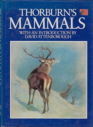 Seller image for THORBURN'S MAMMALS. By Archibald Thorburn. for sale by Coch-y-Bonddu Books Ltd