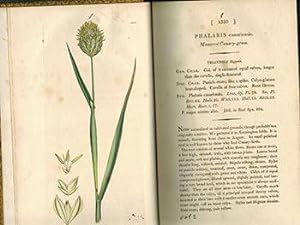 English Botany; or, Coloured Figures of British Plants,. Volume II (First Edition with 126 handco...