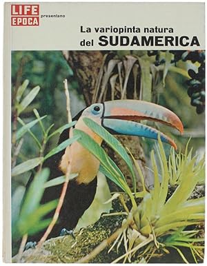 LA VARIOPINTA NATURA DEL SUD AMERICA.: