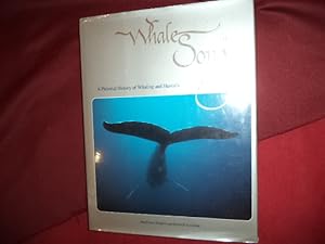 Imagen del vendedor de Whale Song. A Pictorial History of Whaling and Hawai'i. a la venta por BookMine