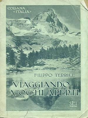 Seller image for Viaggiando a occhi aperti for sale by Librodifaccia