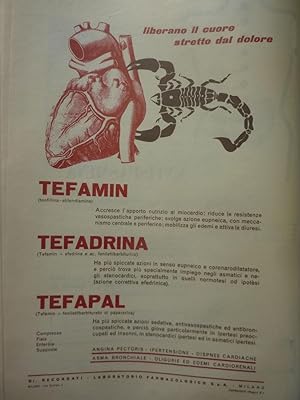 TEFAMIN - TEFADRINA - TEFAPAL liberano il cuore stretto dal dolore, Recordati