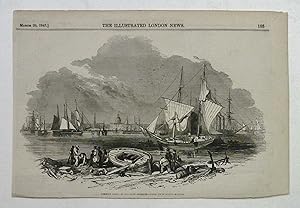 Imagen del vendedor de Foreign Corn Ports, New Orleans USA Print 1847 a la venta por Maynard & Bradley