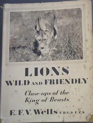 Immagine del venditore per Lions Wild and Friendly : Close Ups of the King of Beasts venduto da Chapter 1