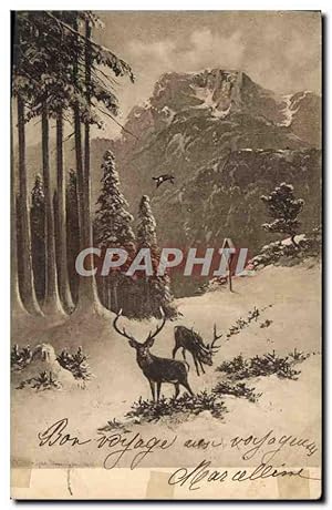 Carte Postale Ancienne Biche