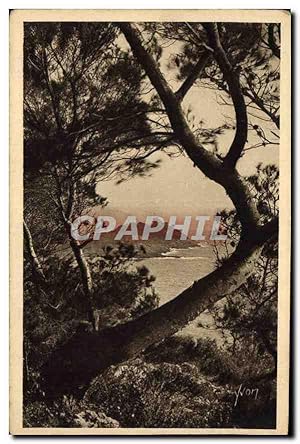 Imagen del vendedor de Carte Postale Ancienne Cote d'Azur Le Cap Ferrat vu a travers les Pins d'Alep a la venta por CPAPHIL